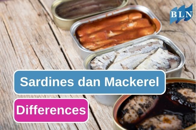 3 Ways to Tell Sardines And Mackerel Apart